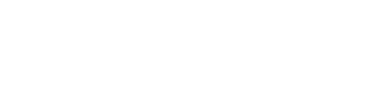 Vlocity Logo